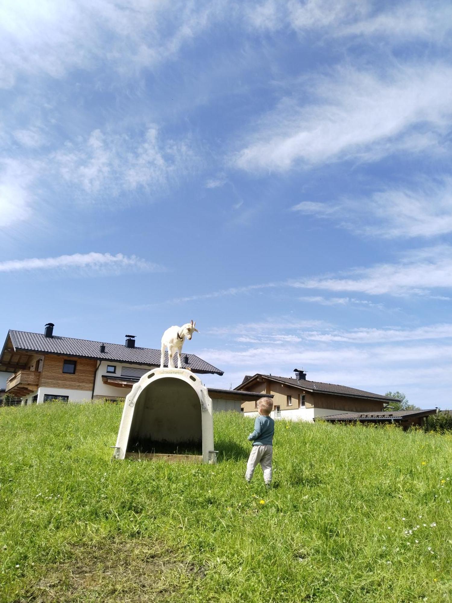 Villa Maurerhof Itter Esterno foto